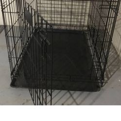 Large Dog Crate