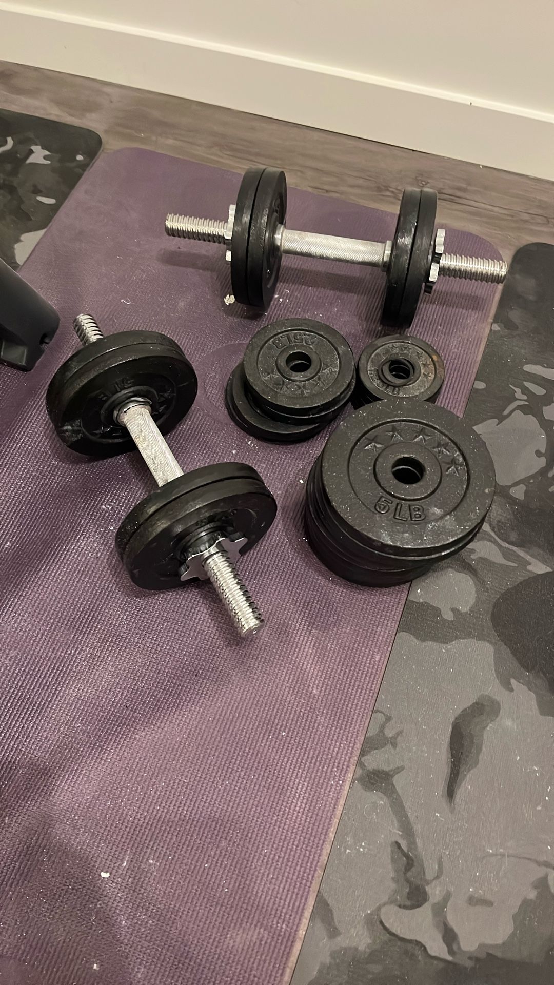 100 Pounds Of Free Weights 