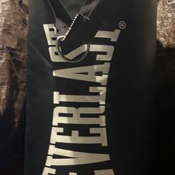 40 Lb Everlast Punching Bag