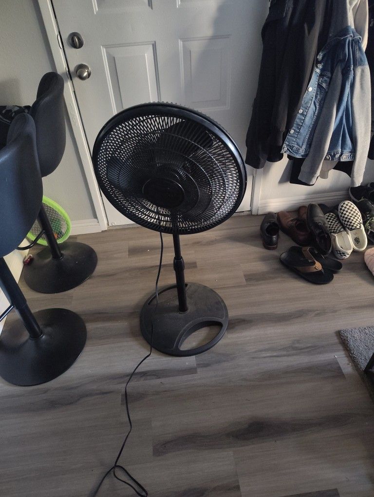 Fan