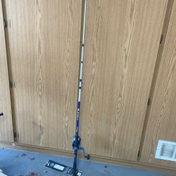 Fishing Rod 