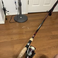 Fishing rod combo