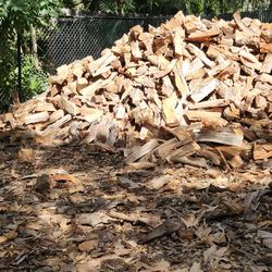 Firewood 