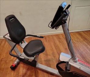 Schwinn Recumbent Bike