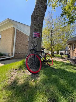Fixie