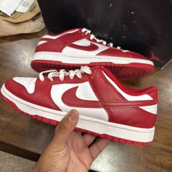 Nike Dunks Size 10