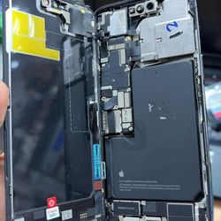 Iphone 11 Water Damage 