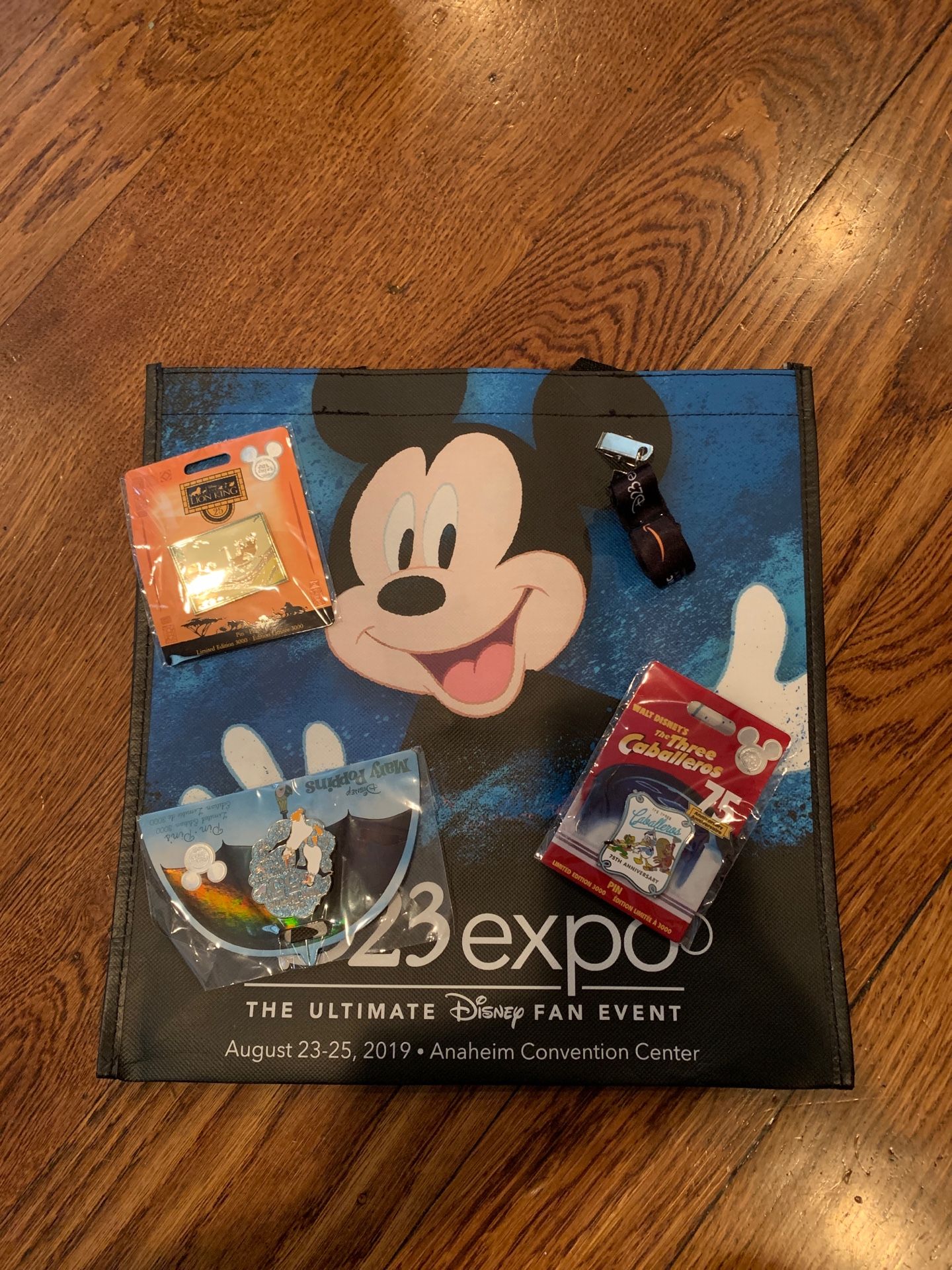 DISNEY - D23 EXPO PINS SET