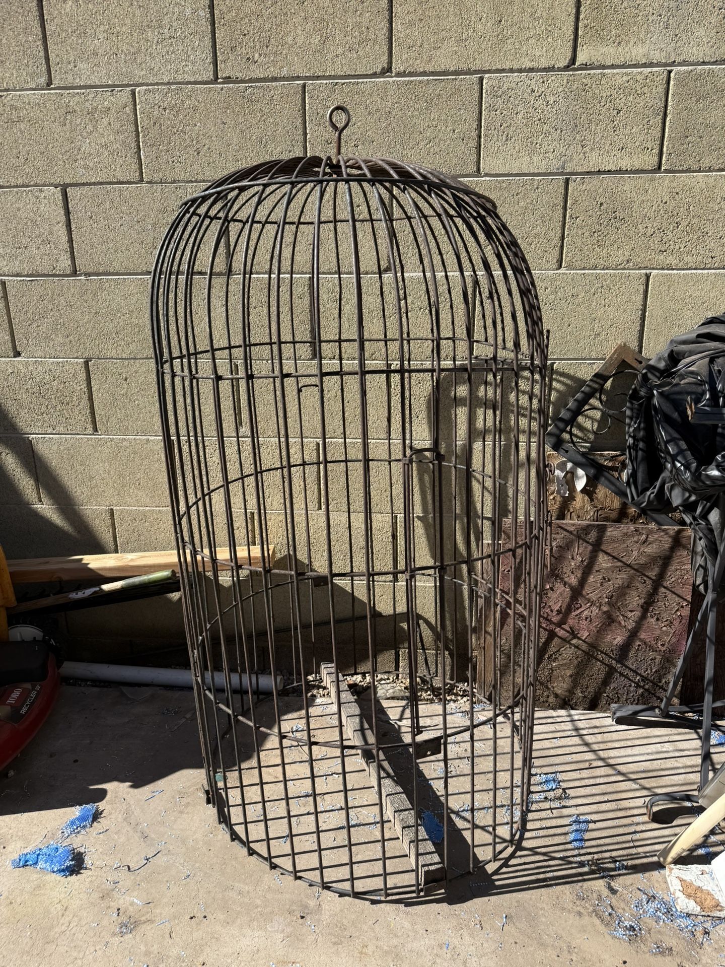 Bird Cage 