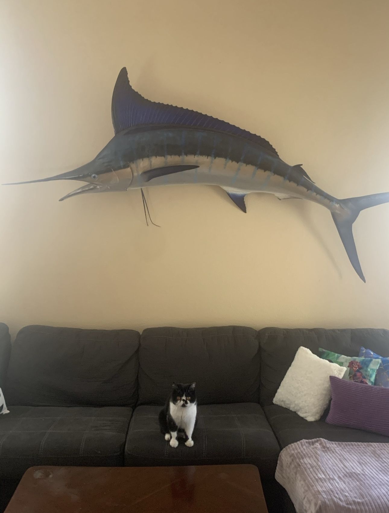 Large 8’ Fiberglass Blue Marlin – Professional Wall Mount – Statement Nautical decor