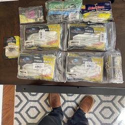 Fishing Bate And Hooks