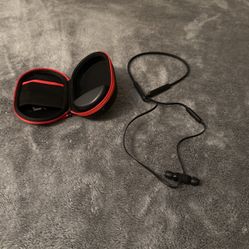 Beats Flex All Day Bluetooth Wireless Headphones