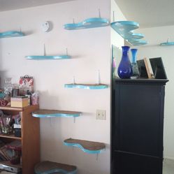 Cat shelves