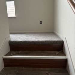 Carpet For Sale! 