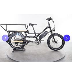 Rad Power Bike Radwagon 4 E Bike