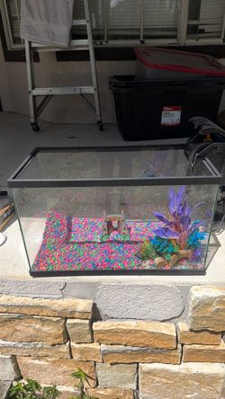 Glass Fish Tank Aquarium with Accessories