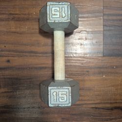 15LB Steel Dumbbell