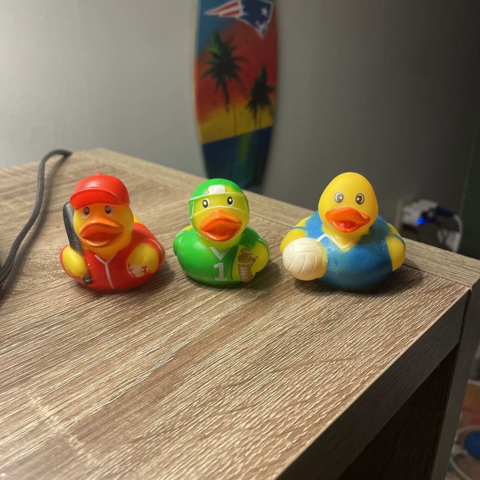 ‼️SPORTS DUCKS‼️