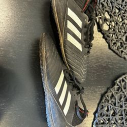 Predators 