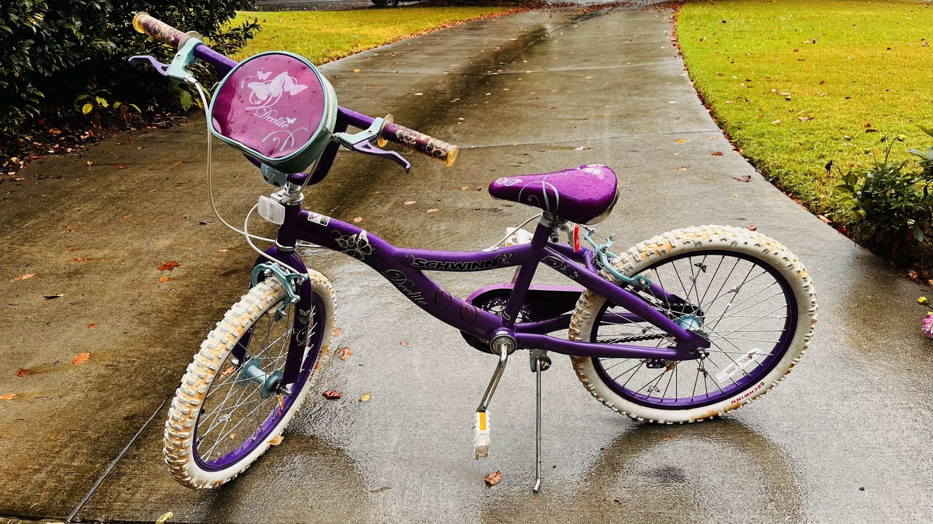 Dynacraft Girls Rule 20 Inch BMX bike Age 7-14