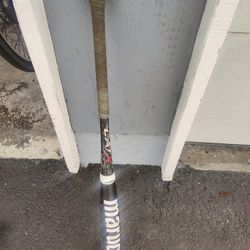 Cat X Composite Usa Baseball Bat