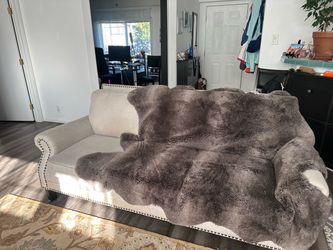 FREE gray couch