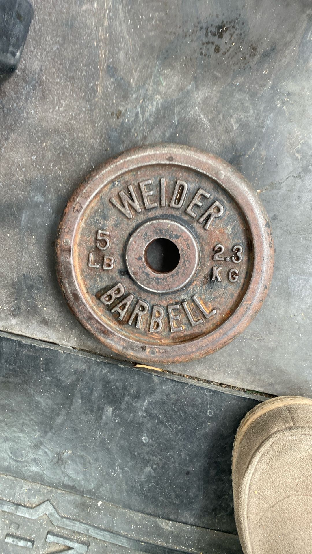 5LB (1) Weider Weight