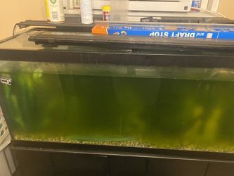75 gal tank