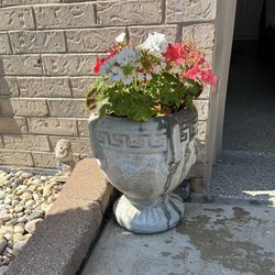 Cement, Flower Pots 