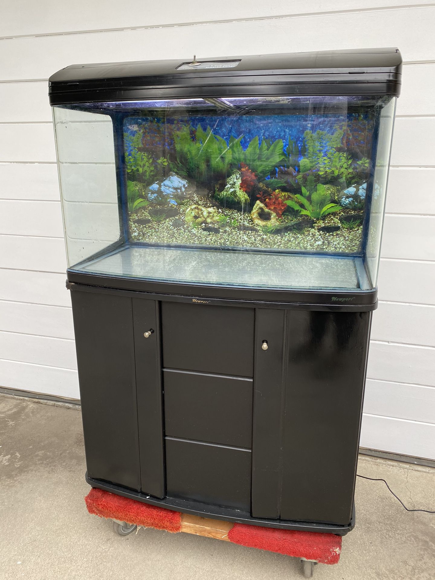 Bowfront / Round corners 55 gallon fish tank aquarium with stand and lights