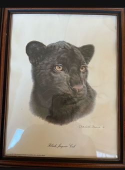 Good Condition Antique Vintage Charles Frace Collection of Wild Animals  SALE $45 each 🎈