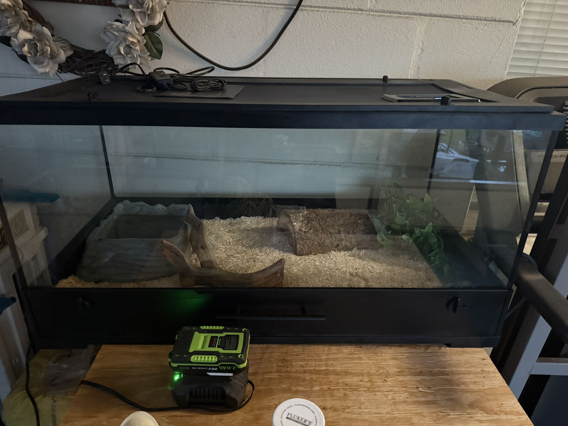 Multiple Reptile Tanks Available