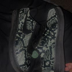 AF1s 