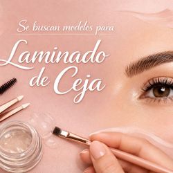 Laminado De Ceja