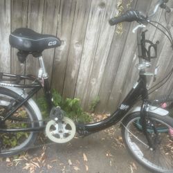 Schwinn Loop