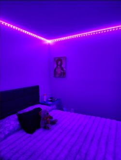 LED Lights