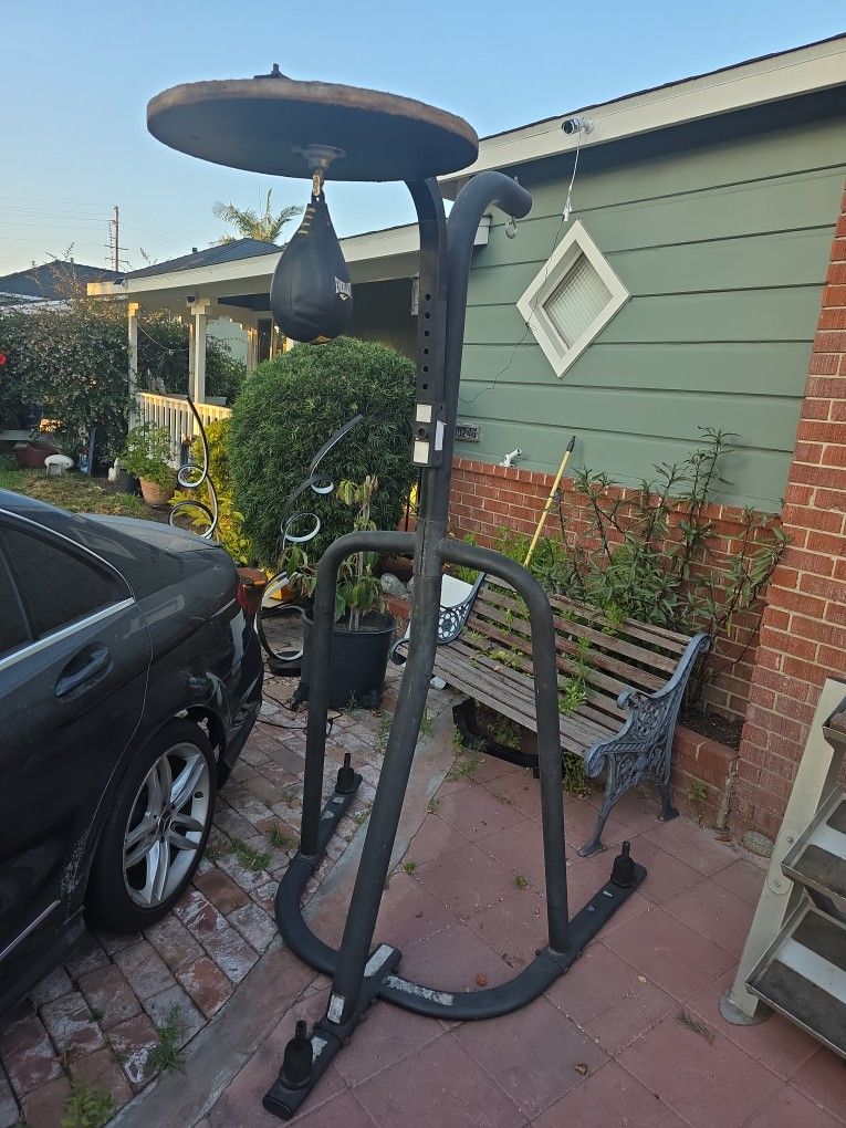 Century Platform With Speed Bag And Heavy Bag