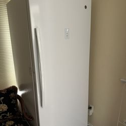 Upright Freezer 