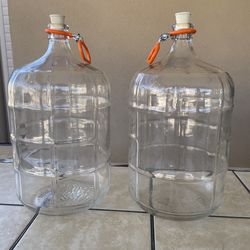 5 Gallon Glass Carboys