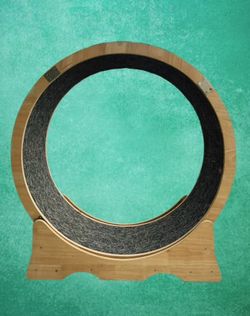 Cat Running Wheel