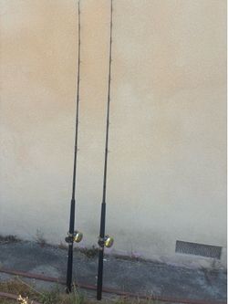Pair of Avet Jx 6/3 reels with Seeker Black Steel Graphite G 670 7’ rods