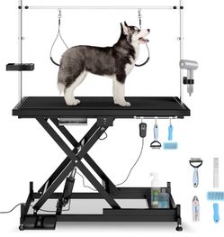 Electric Adjustable Height Rectangle Dog Grooming Table with Arm