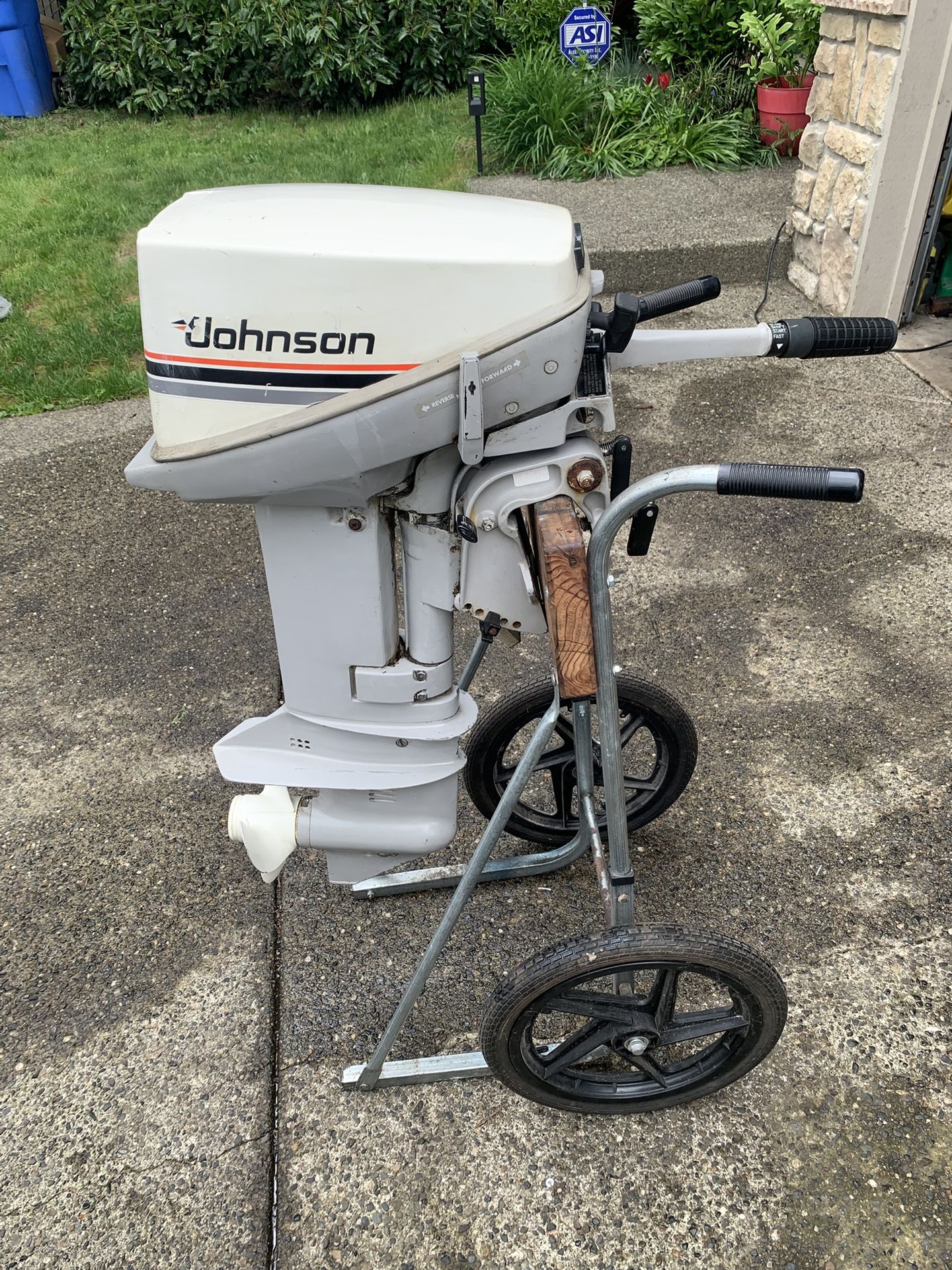 Johnson 9.9 Hp