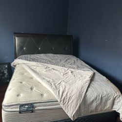 Free! Queen Size Bed With Box Spring  No Mattress