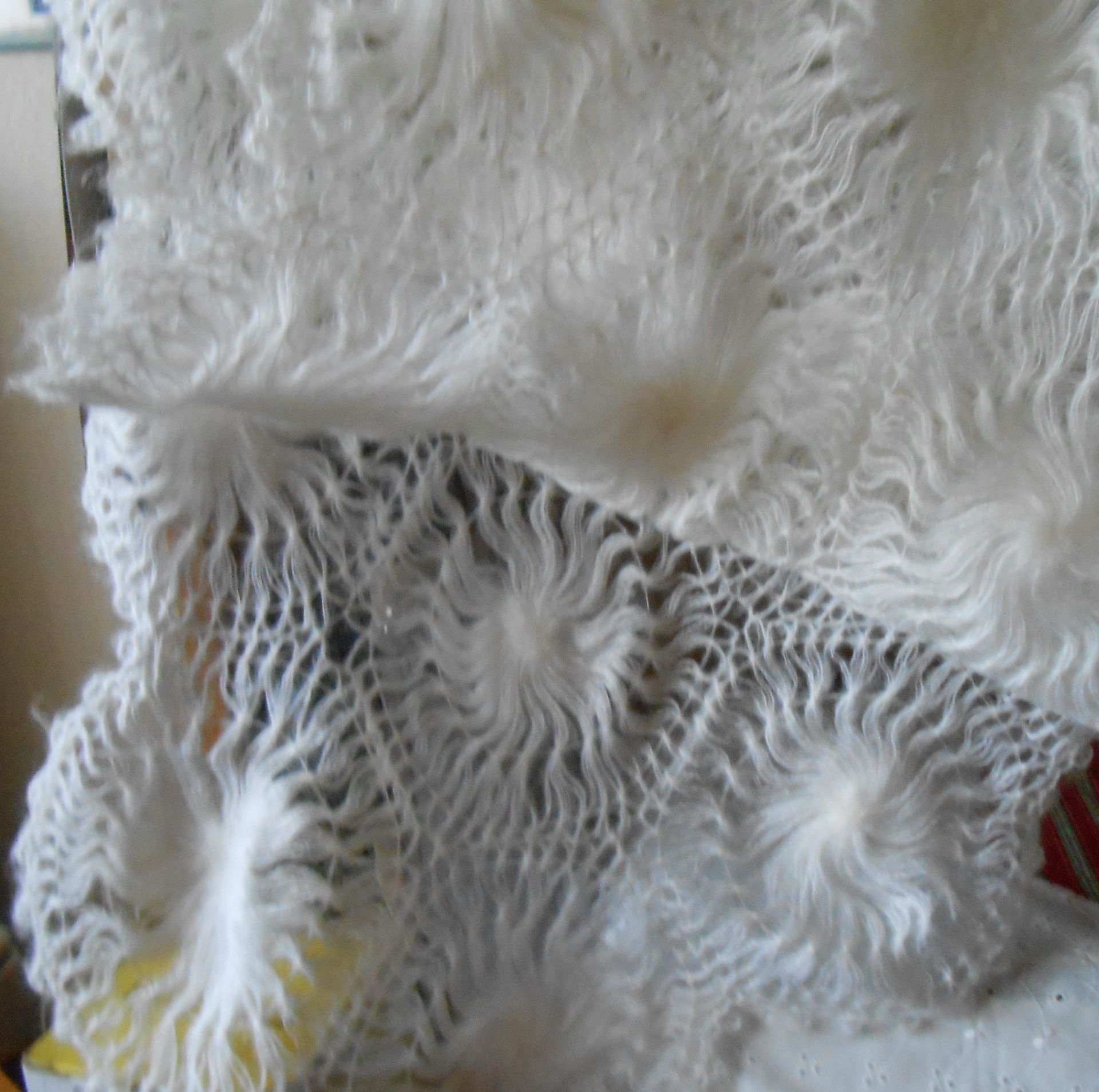 Lovely vintage shawl
