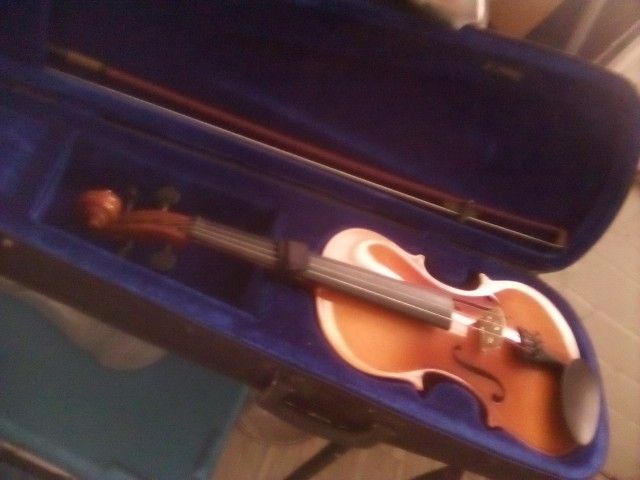Violin