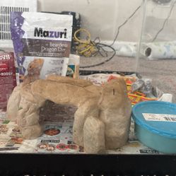 Bearded dragon tank/Enclosure