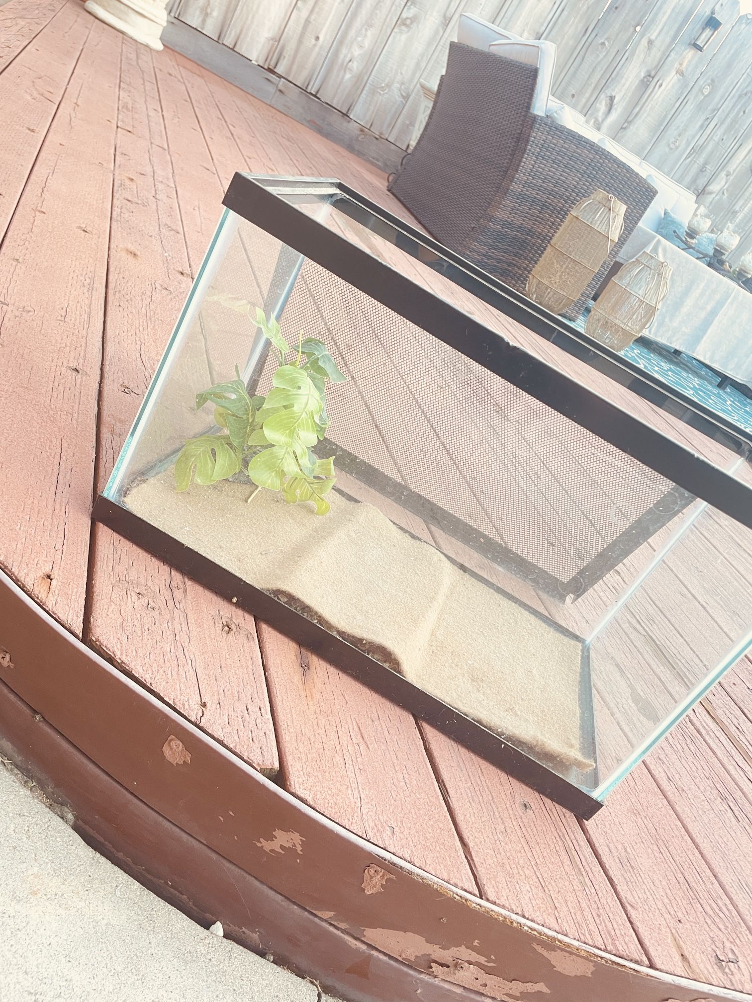 Glass Enclosure