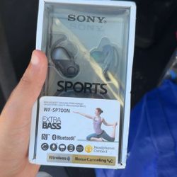 Sony Earbuds $30