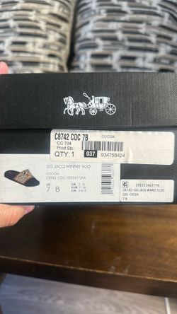 Coach Mickey Slides